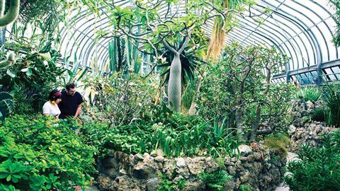 Conservatoire Anna Scripps Whitcomb, Belle Isle