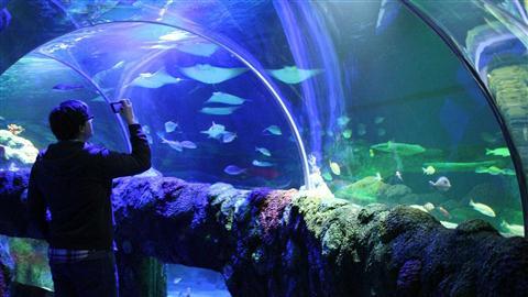 Aquarium SEA LIFE Michigan