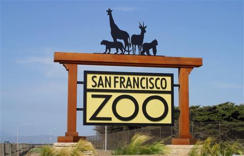San Francisco Zoo