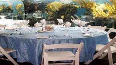 Bermuda Aquarium, Museum & Zoo, Hamilton , BM