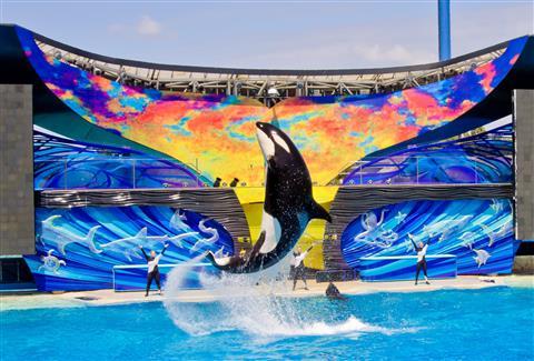 Sea World