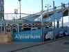 Acuario del muelle de Santa Mónica