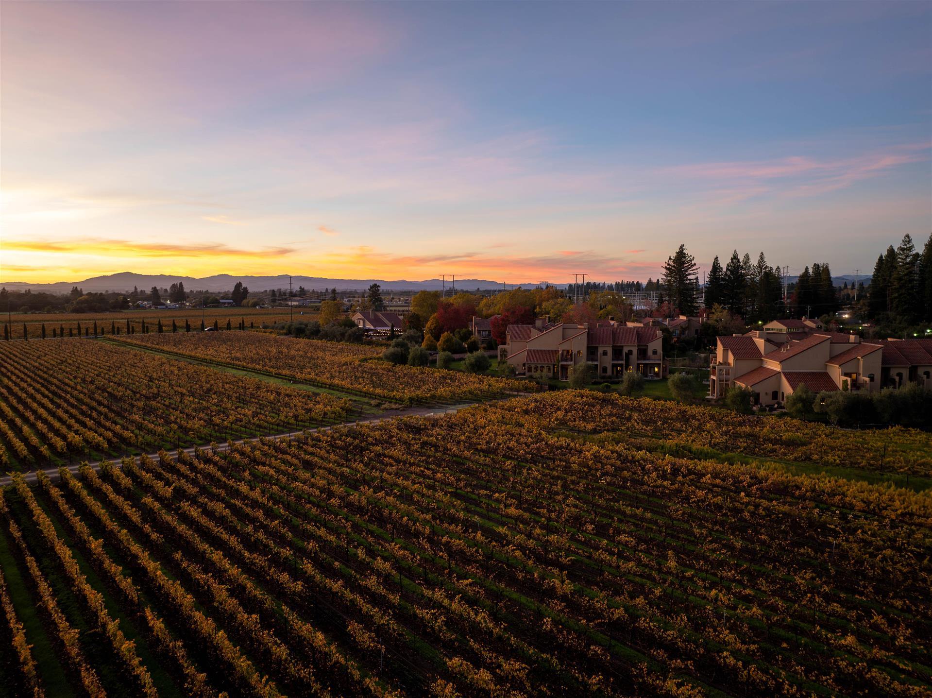 Vinarosa Resort & Spa image