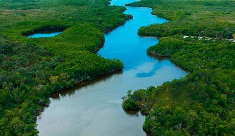 Rookery Bay National Estuarine Research Reserve