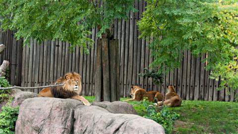Cleveland Metroparks Zoo
