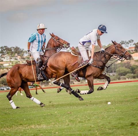 San Diego Surf Polo Club