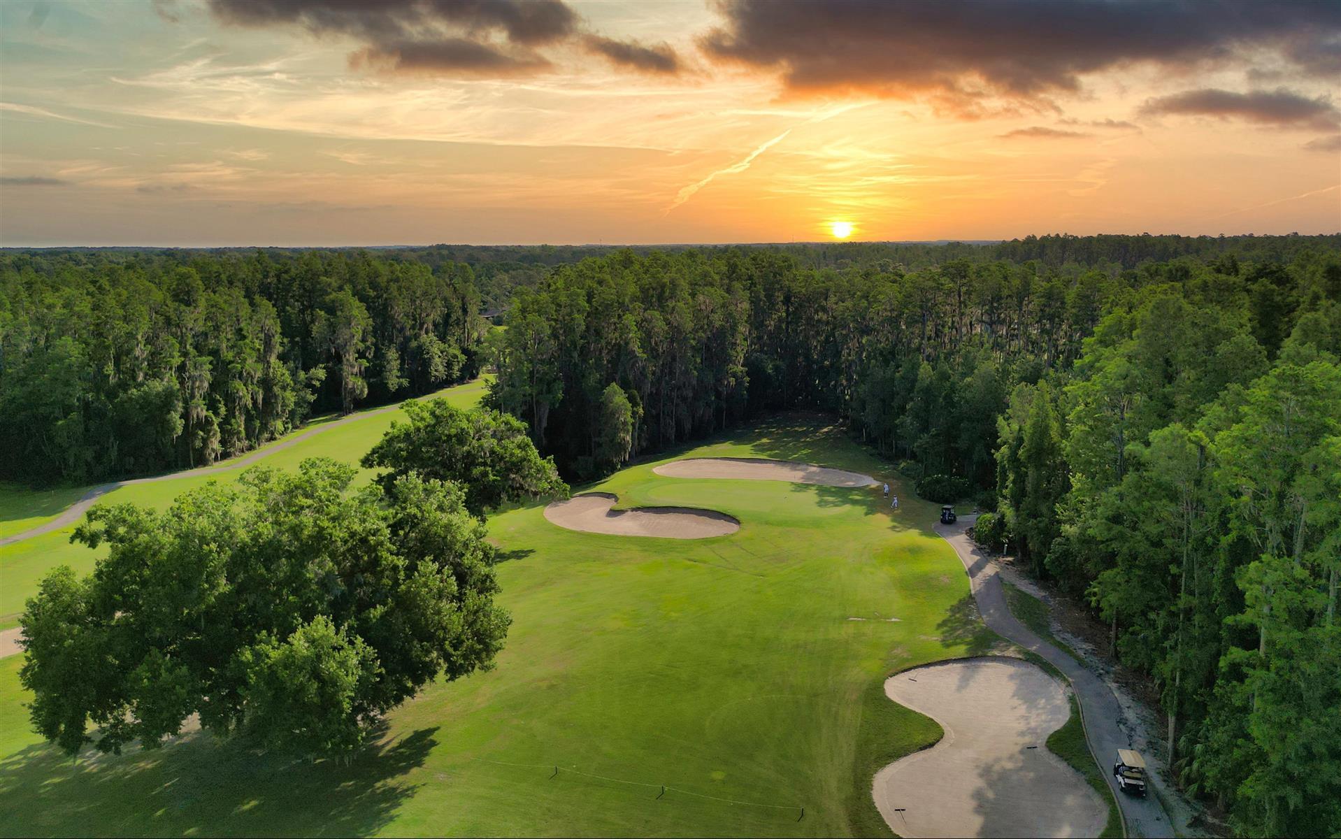 Afbeelding voor Renovation Grand Opening Special