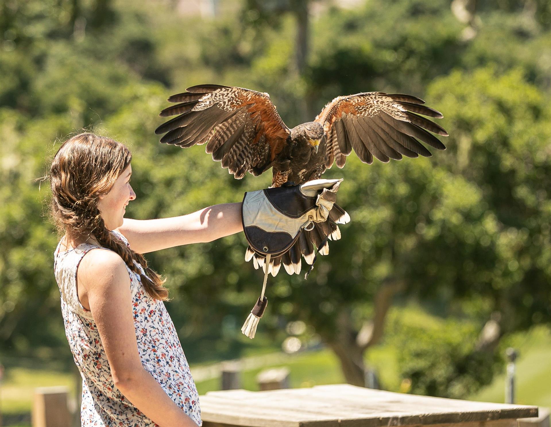 Carmel, CA의 Carmel Valley Ranch