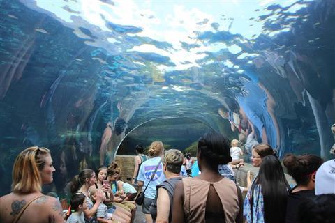 达拉斯世界水族馆