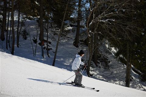 오너 더 슬로프