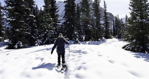 Geführte Schneeschuhwanderung