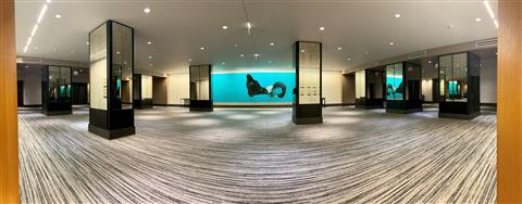 Loews Chicago O'Hare Hotel в Rosemont, IL