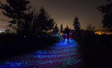 Van Gogh Cycling Path