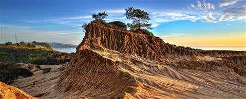 Réserve d'État de Torrey Pines