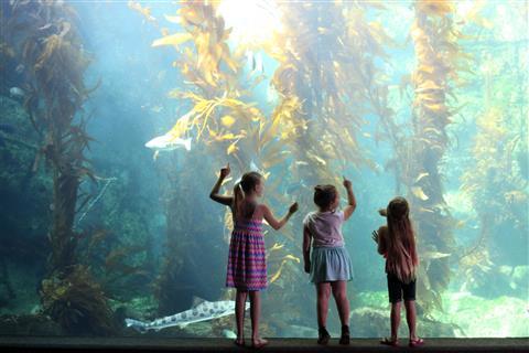 Aquarium Birch à Scripps