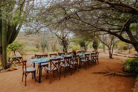 Arawak DMX в Oranjestad, AW