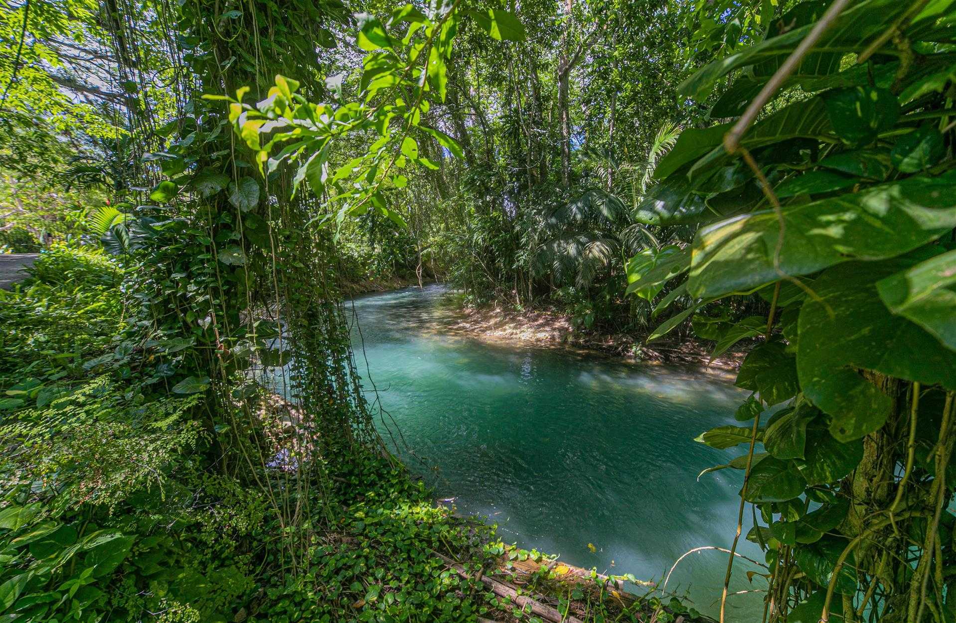 Visit Jamaica in Kingston, JM