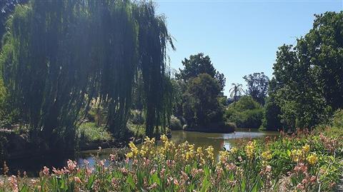 Adelaide Botanic Garden