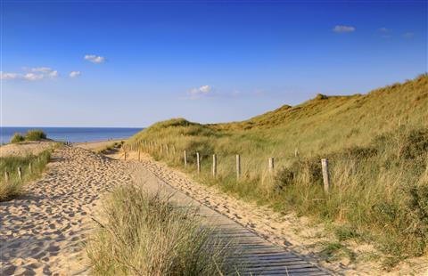 The Hague, NL의 The Hague & Partners