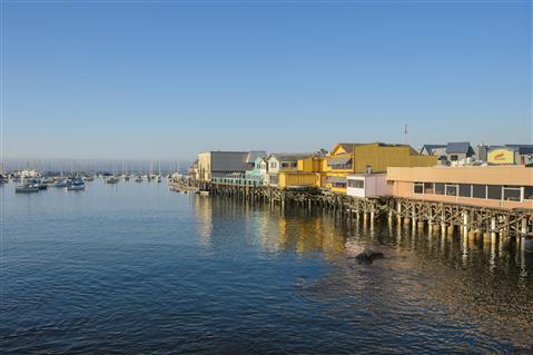 Fisherman's Wharf