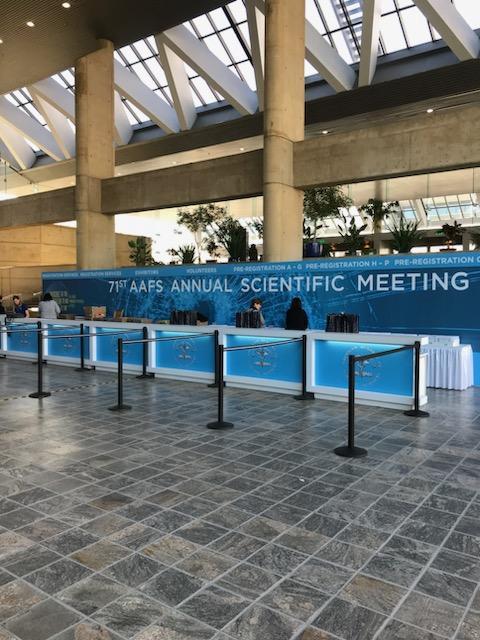 Evolving Productions