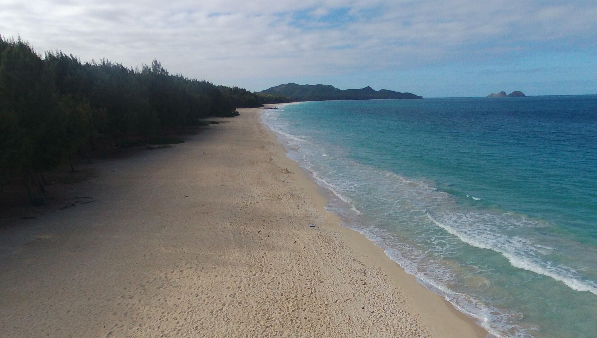 Daniels Hawaii Tours