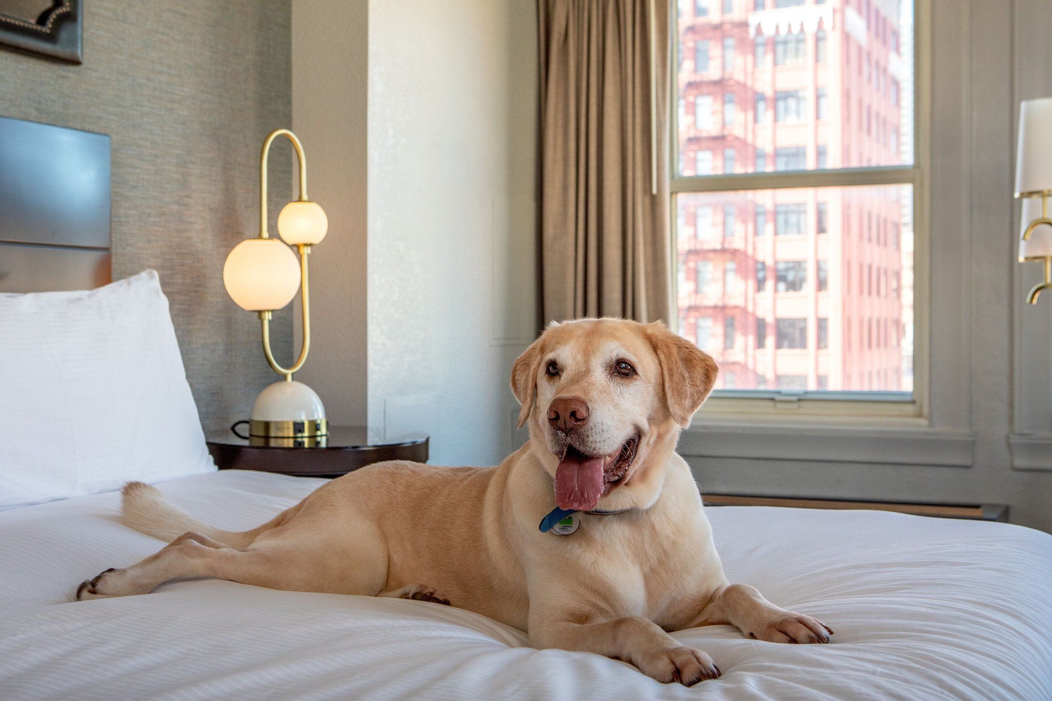 Bild des Veranstaltungsortes